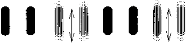 \scalebox{0.5}{\includegraphics{eps/commonfate}}